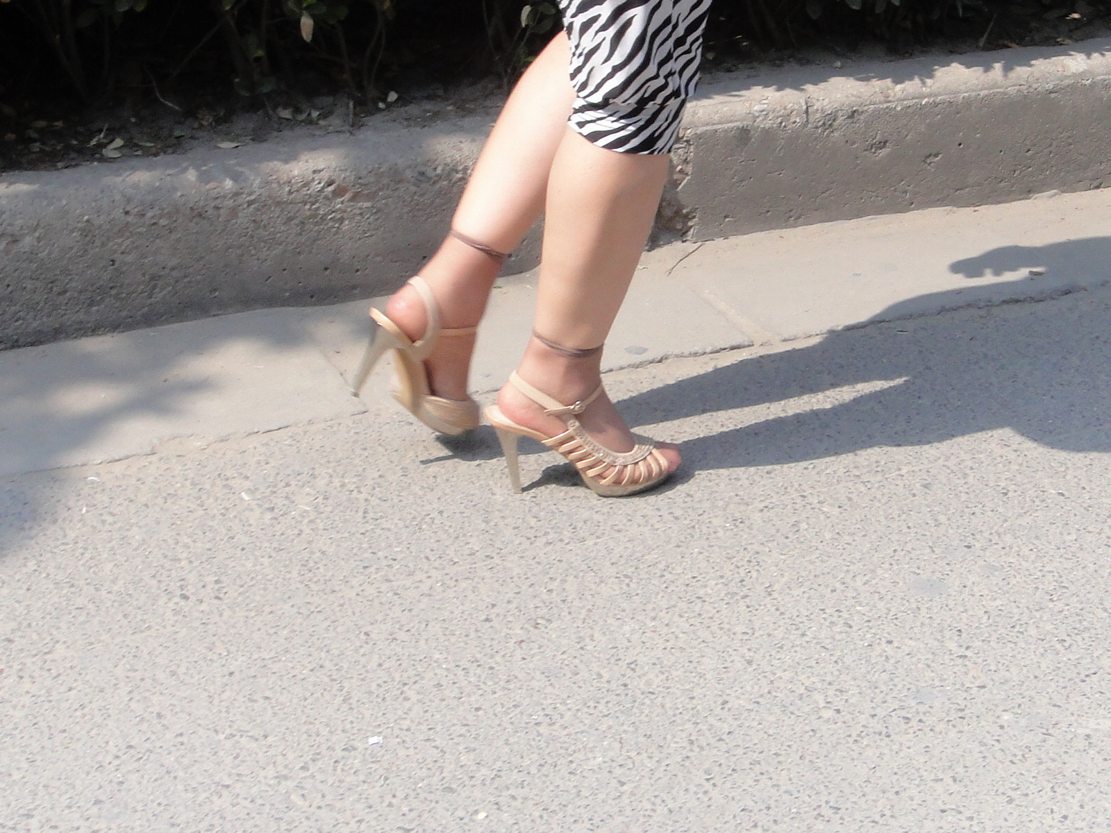 DSC00236.jpg