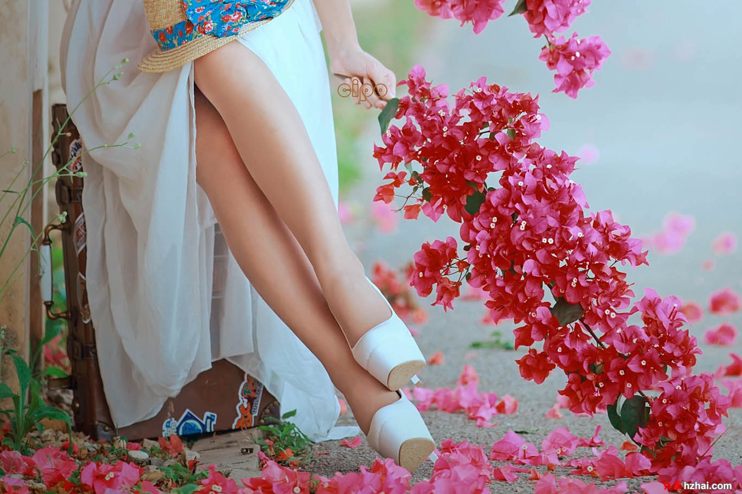 妹纸·花20130609_06.jpg