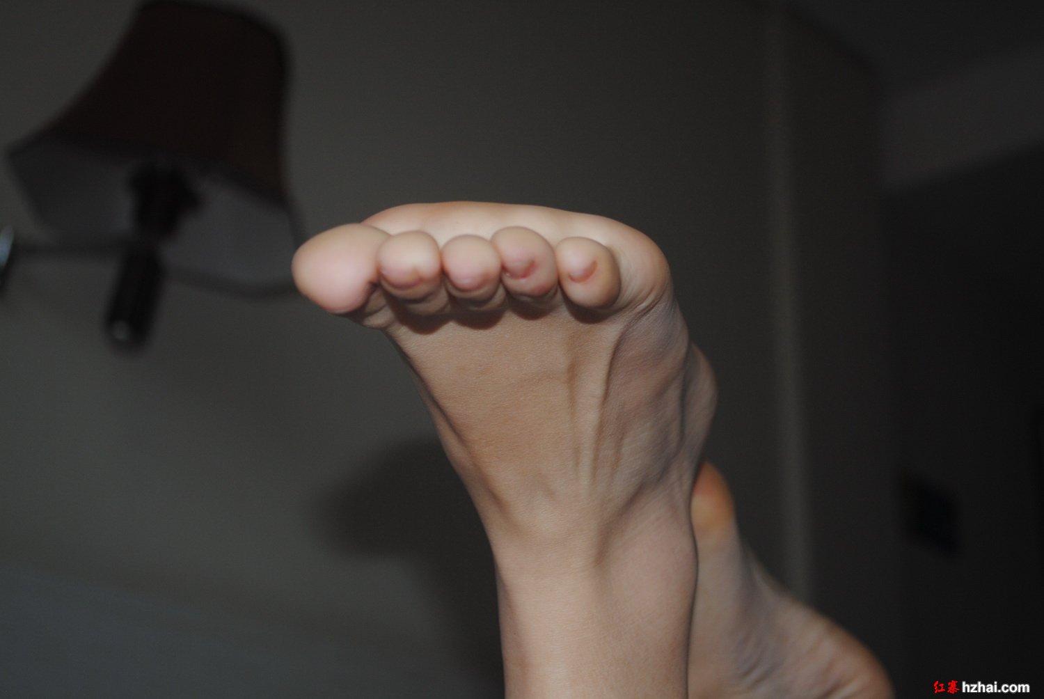 DSC_0102.JPG