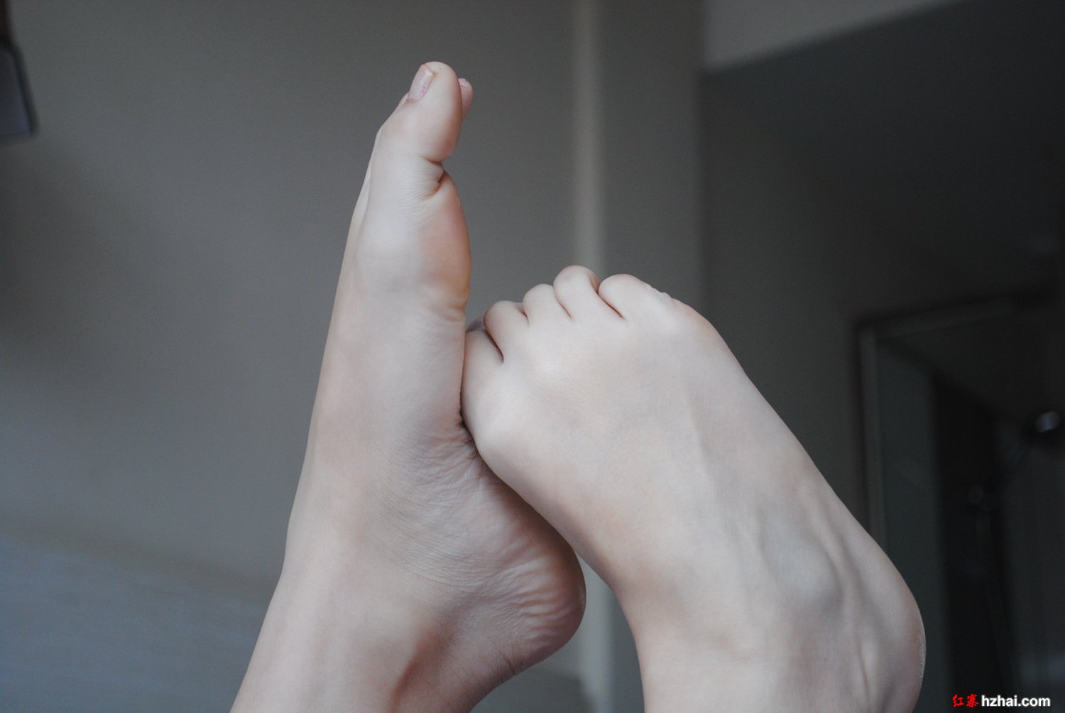 DSC_0105.JPG