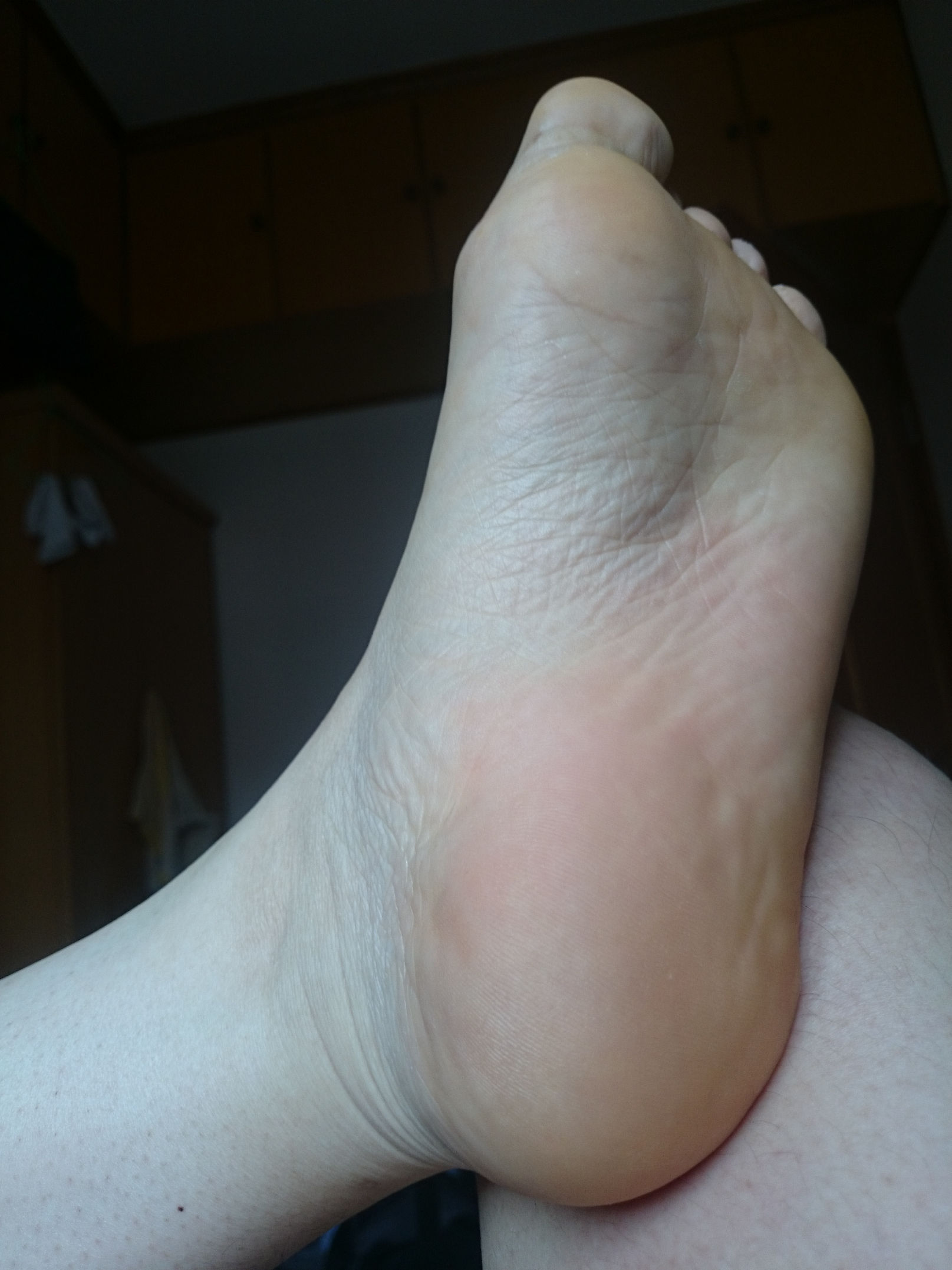 DSC_0117.JPG