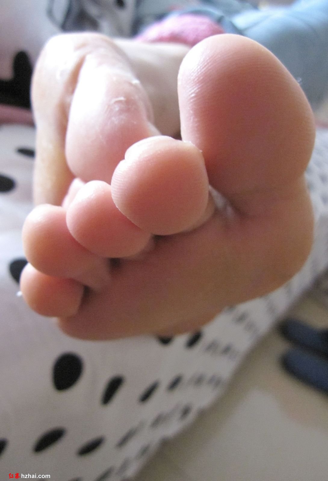 pj (65).jpg