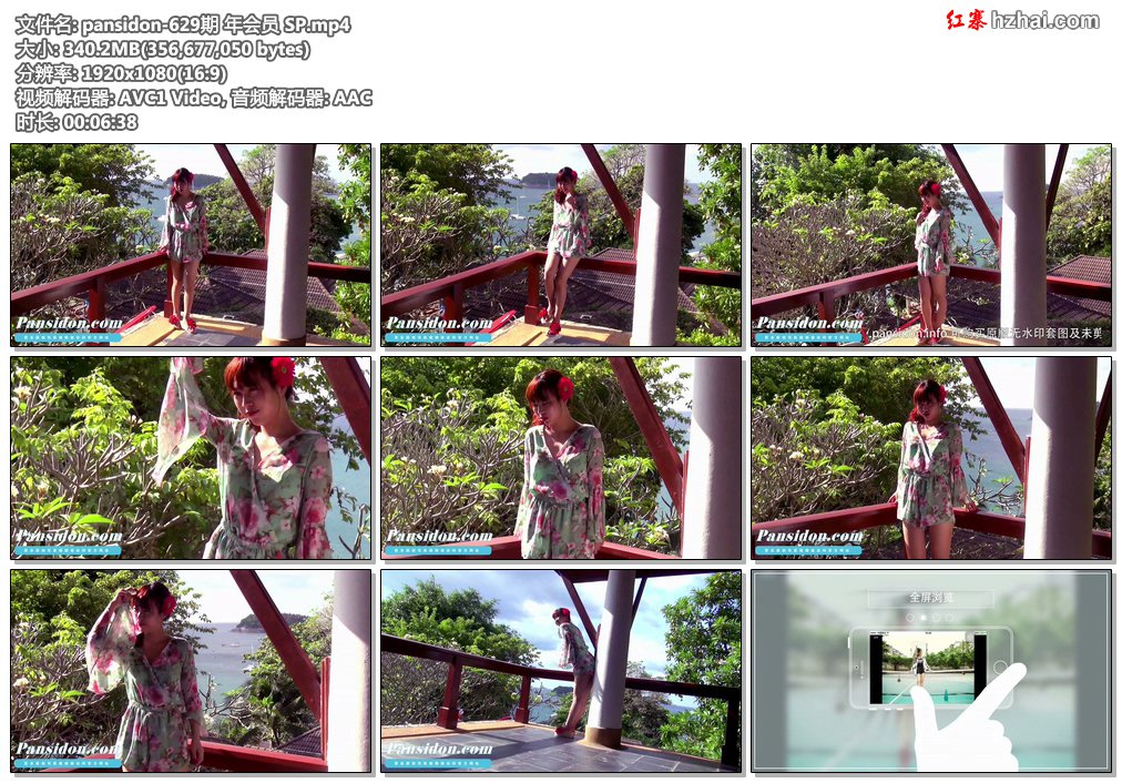 pansidon-629期 年会员 SP.mp4.jpg