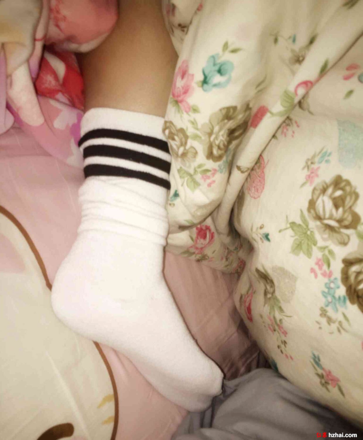2018-07-01 015906.jpg